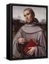 St. Francisco, Circa 1500-Francesco Francia-Framed Stretched Canvas