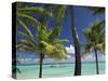 St. Francois, Grande Terre, Guadeloupe, French West Indies-Walter Bibikow-Stretched Canvas