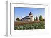 St. Georg Church, Oberzell, UNESCO World Heritage Site, Reichenau Island, Lake Constance-Markus Lange-Framed Photographic Print