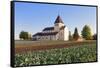 St. Georg Church, Oberzell, UNESCO World Heritage Site, Reichenau Island, Lake Constance-Markus Lange-Framed Stretched Canvas