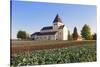 St. Georg Church, Oberzell, UNESCO World Heritage Site, Reichenau Island, Lake Constance-Markus Lange-Stretched Canvas