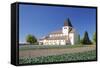 St. Georg Church, Oberzell, UNESCO World Heritage Site, Reichenau Island, Lake Constance-Markus Lange-Framed Stretched Canvas