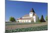 St. Georg Church, Oberzell, UNESCO World Heritage Site, Reichenau Island, Lake Constance-Markus Lange-Mounted Photographic Print