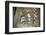 St. George and Dragon, Uran Kidane Meherate Church, Zege Peninsula, Lake Tana, Ethiopia, Africa-Sybil Sassoon-Framed Photographic Print