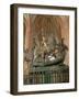 St George and the Dragon Statue, Inside the Storkyrkan Church, Stockholm, Sweden-Peter Thompson-Framed Photographic Print