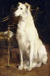 A Borzoi by a Chair-St. George Hare-Mounted Giclee Print