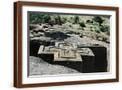 Brown Frame
