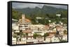 St. George'S, Grenada, Windward Islands, West Indies, Caribbean, Central America-Tony-Framed Stretched Canvas