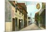 St. George Street, St. Augustine, Florida-null-Mounted Premium Giclee Print