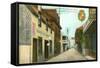St. George Street, St. Augustine, Florida-null-Framed Stretched Canvas