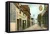 St. George Street, St. Augustine, Florida-null-Framed Stretched Canvas