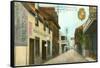 St. George Street, St. Augustine, Florida-null-Framed Stretched Canvas