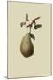 St. Germain Pear-William Hooker-Mounted Art Print