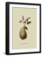 St. Germain Pear-William Hooker-Framed Art Print