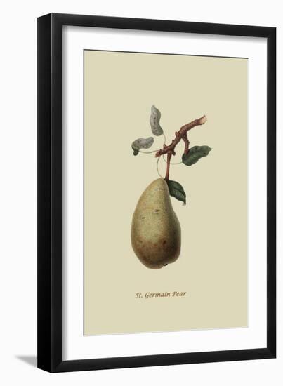 St. Germain Pear-William Hooker-Framed Art Print