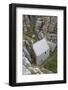 St. Govan's Chapel, St. Govan's Head, Near Pembroke, Pembrokeshire, Wales, United Kingdom, Europe-Stuart Black-Framed Photographic Print