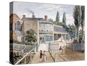 St Helena Tea Gardens, Lower Road, Rotherhithe, London, C1860-null-Stretched Canvas