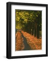 St. Helena Wine Country, Napa Valley, California-John Alves-Framed Photographic Print