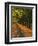 St. Helena Wine Country, Napa Valley, California-John Alves-Framed Photographic Print