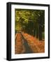 St. Helena Wine Country, Napa Valley, California-John Alves-Framed Photographic Print