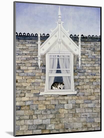 St.Helier Dormer Cat-Ditz-Mounted Giclee Print