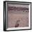 St. Ives Artists' Colony, Cornwall, England-Mark Kauffman-Framed Photographic Print