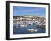 St. Ives, Cornwall, England, United Kingdom, Europe-Jeremy Lightfoot-Framed Photographic Print