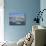 St. Ives, Cornwall, England, United Kingdom, Europe-Jeremy Lightfoot-Mounted Photographic Print displayed on a wall