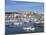 St. Ives, Cornwall, England, United Kingdom, Europe-Jeremy Lightfoot-Mounted Photographic Print