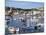 St. Ives, Cornwall, England, United Kingdom, Europe-Jeremy Lightfoot-Mounted Photographic Print