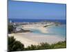 St. Ives, Cornwall, England, United Kingdom, Europe-Jeremy Lightfoot-Mounted Photographic Print