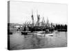 St Ives Harbour, C.1880-99-null-Stretched Canvas