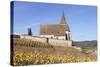 St. Jacques Church, Vineyards in Autumn, Hunawhir, Alsace, France-Markus Lange-Stretched Canvas