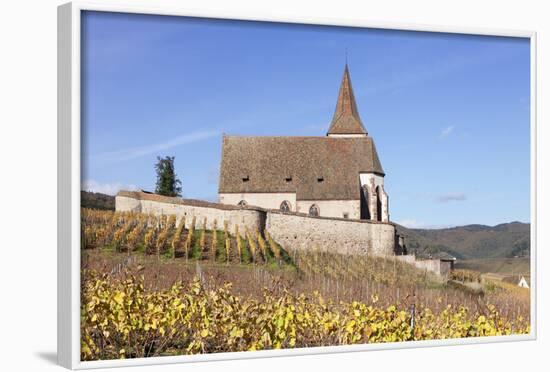 St. Jacques Church, Vineyards in Autumn, Hunawhir, Alsace, France-Markus Lange-Framed Photographic Print