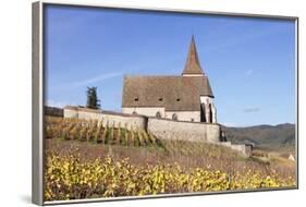 St. Jacques Church, Vineyards in Autumn, Hunawhir, Alsace, France-Markus Lange-Framed Photographic Print