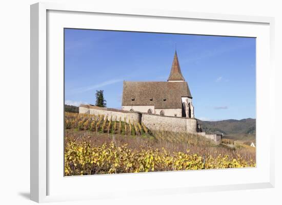 St. Jacques Church, Vineyards in Autumn, Hunawhir, Alsace, France-Markus Lange-Framed Photographic Print