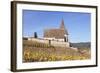 St. Jacques Church, Vineyards in Autumn, Hunawhir, Alsace, France-Markus Lange-Framed Photographic Print