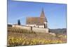 St. Jacques Church, Vineyards in Autumn, Hunawhir, Alsace, France-Markus Lange-Mounted Photographic Print