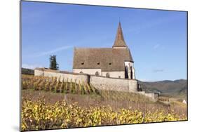St. Jacques Church, Vineyards in Autumn, Hunawhir, Alsace, France-Markus Lange-Mounted Photographic Print