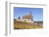 St. Jacques Church, Vineyards in Autumn, Hunawhir, Alsace, France-Markus Lange-Framed Photographic Print