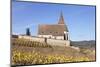 St. Jacques Church, Vineyards in Autumn, Hunawhir, Alsace, France-Markus Lange-Mounted Photographic Print