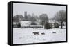 St. James' Church and Sheep with Lambs in Snow, Chipping Campden, Cotswolds-Stuart Black-Framed Stretched Canvas