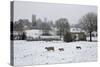 St. James' Church and Sheep with Lambs in Snow, Chipping Campden, Cotswolds-Stuart Black-Stretched Canvas