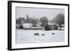 St. James' Church and Sheep with Lambs in Snow, Chipping Campden, Cotswolds-Stuart Black-Framed Photographic Print