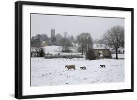 St. James' Church and Sheep with Lambs in Snow, Chipping Campden, Cotswolds-Stuart Black-Framed Photographic Print