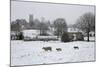 St. James' Church and Sheep with Lambs in Snow, Chipping Campden, Cotswolds-Stuart Black-Mounted Photographic Print