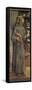 St. James Della Marca-Vittore Crivelli-Framed Stretched Canvas