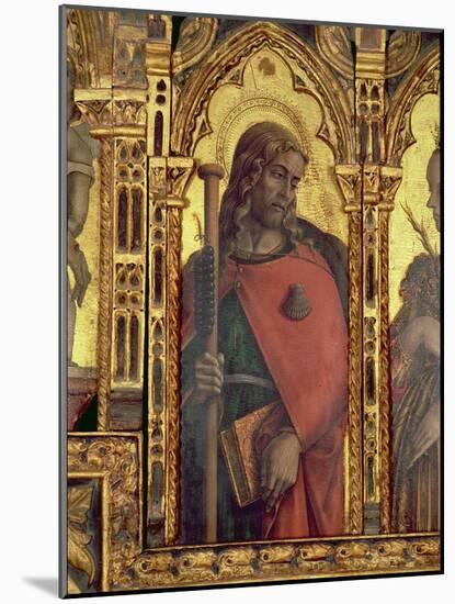 St. James, Detail from the San Martino Polyptych-Carlo Crivelli-Mounted Giclee Print