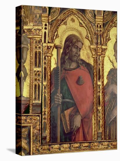 St. James, Detail from the San Martino Polyptych-Carlo Crivelli-Stretched Canvas