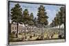St James Palace and Park, London, Showing Formal Planting of Trees in Avenues, 1750-Jacques Rigaud-Mounted Giclee Print